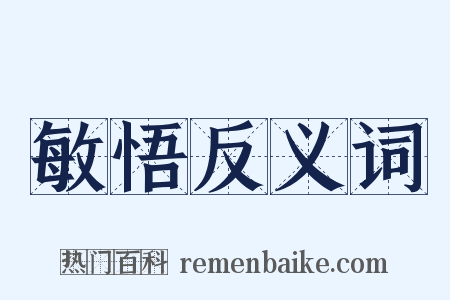 敏悟反义词是什么意思的图片
